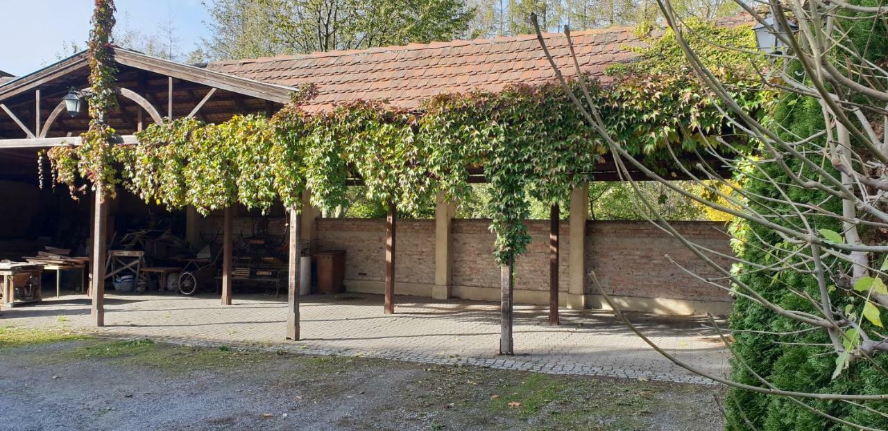 Villa Kliche Przerzeczyn-Zdroj エクステリア 写真