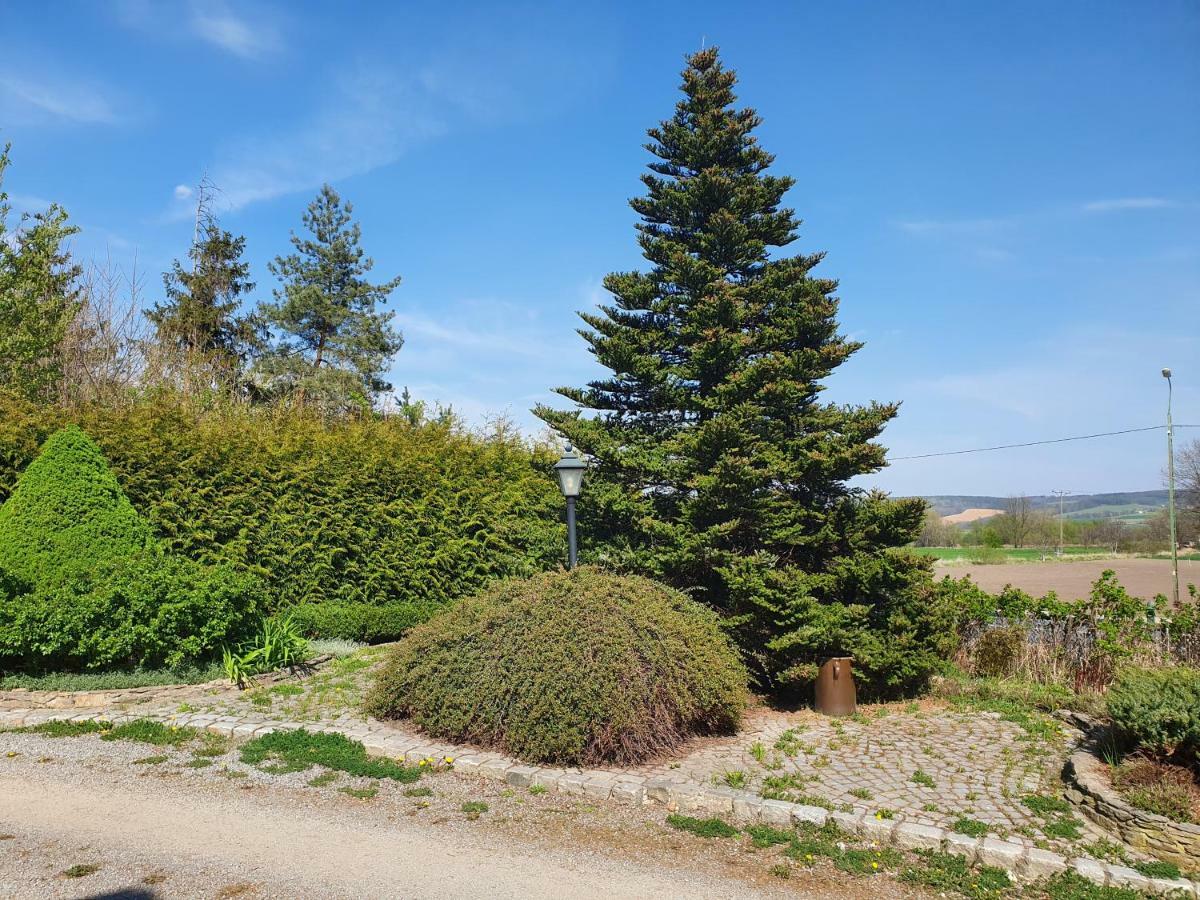 Villa Kliche Przerzeczyn-Zdroj エクステリア 写真