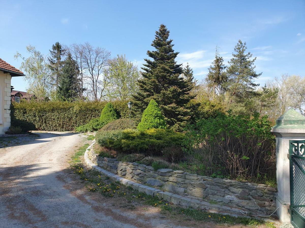 Villa Kliche Przerzeczyn-Zdroj エクステリア 写真