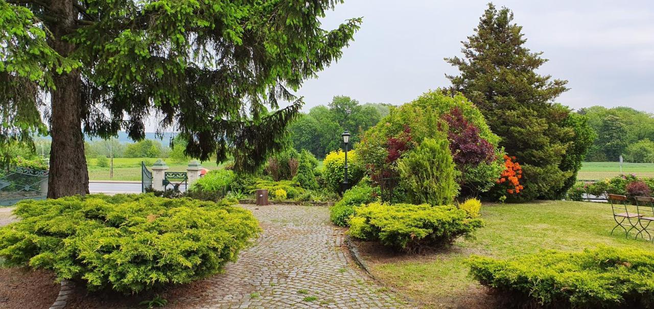 Villa Kliche Przerzeczyn-Zdroj エクステリア 写真
